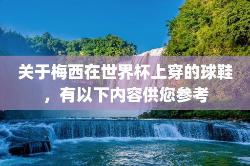 关于梅西在世界杯上穿的球鞋，有以下内容供您参考