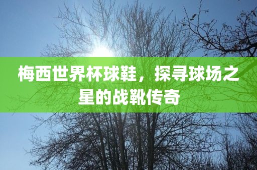 梅西世界杯球鞋，探寻球场之星的战靴传奇