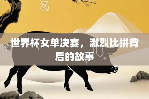 世界杯女单决赛，激烈比拼背后的故事