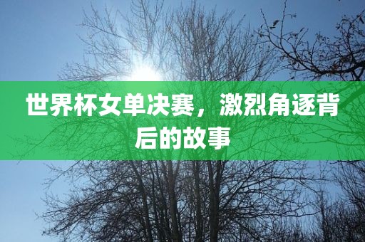 世界杯女单决赛，激烈角逐背后的故事