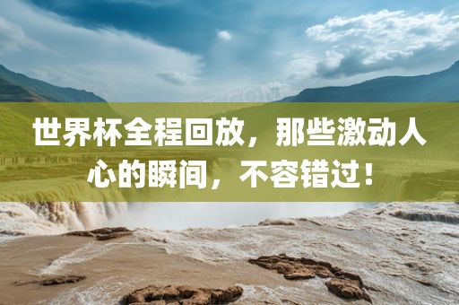 世界杯全程回放，那些激动人心的瞬间，不容错过！