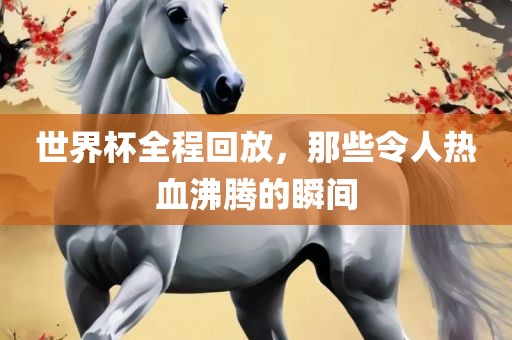 houyingru 第5页