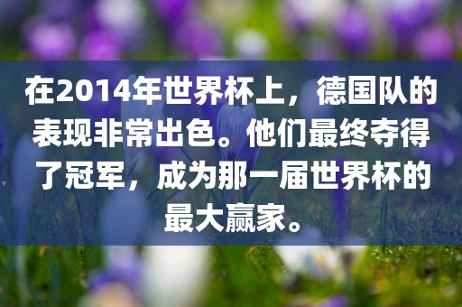 在2014年世界杯上，德国队的表现非常出色。他们最终夺得了冠军，成为那一届世界杯的最大赢家。吉安市靖泰电力工程有限公司