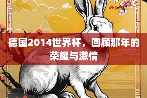 德国2014世界杯，回顾那年的荣耀与激情