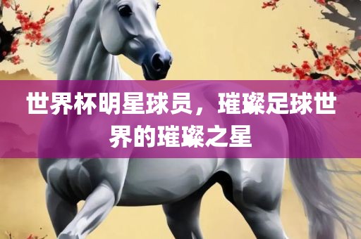 吉安市靖泰电力工程有限公司世界杯明星球员，璀璨足球世界的璀璨之星