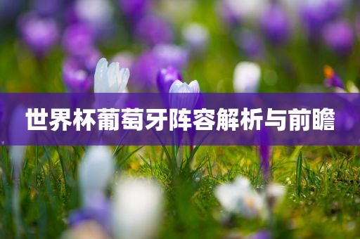 世界杯葡萄牙阵容解析与前瞻吉安市靖泰电力工程有限公司