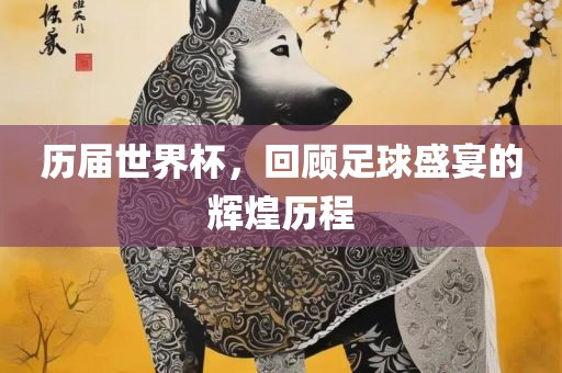 历届世界杯，回顾足球盛宴的辉煌历程吉安市靖泰电力工程有限公司