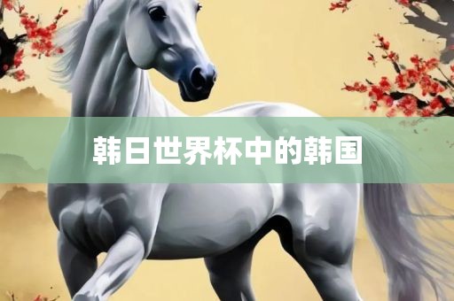 韩吉安市靖泰电力工程有限公司日世界杯中的韩国