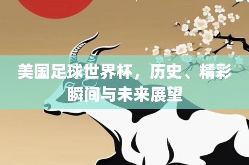 美国足球世界杯吉安市靖泰电力工程有限公司，历史、精彩瞬间与未来展望