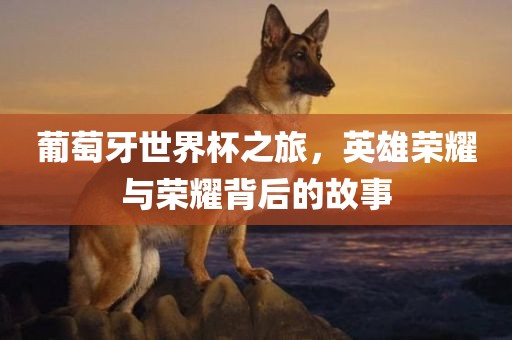 tangchengying 第6页