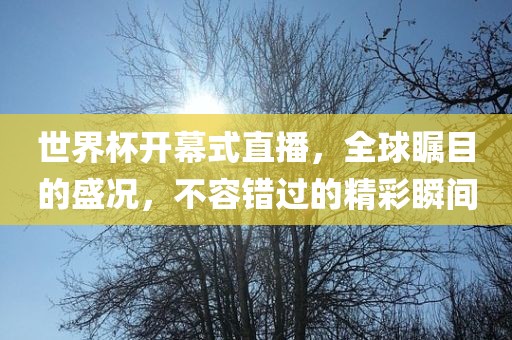 世界杯开幕式直播，全球瞩目的盛况，不容错过的精彩瞬间