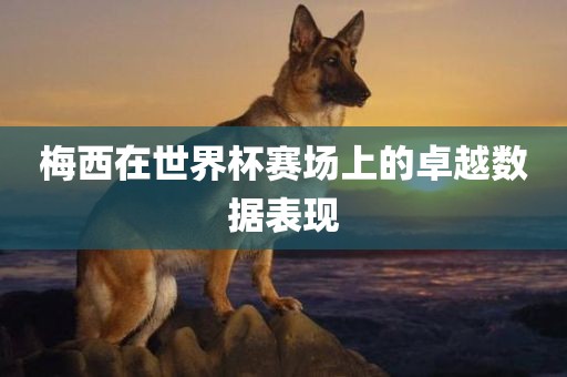 梅西在世界杯赛场上的卓越数据表现吉安市靖泰电力工程有限公司