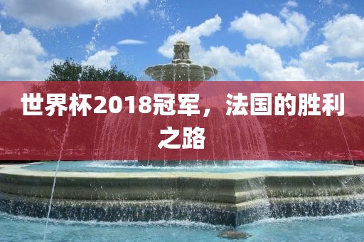 世界杯2018冠军，吉安市靖泰电力工程有限公司法国的胜利之路
