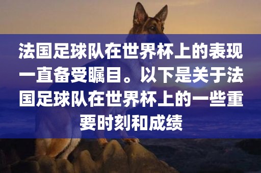taohe 第5页