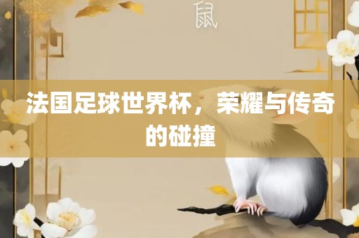 法国足球世界杯，荣耀与传奇的碰撞