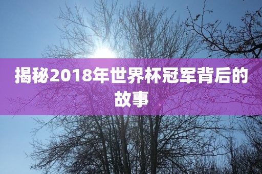 揭秘2018年世界杯冠军背后的故事