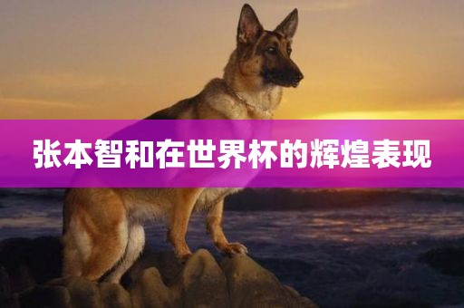 张本智和在世界杯的辉煌表现