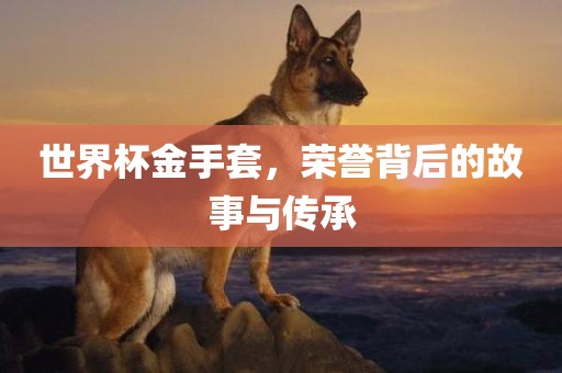 世界杯金手套，荣誉背后的故事与传承吉安市靖泰电力工程有限公司