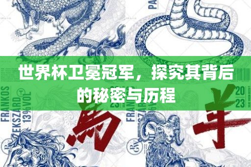 世界杯卫冕冠军，探究其背后的秘密与历程