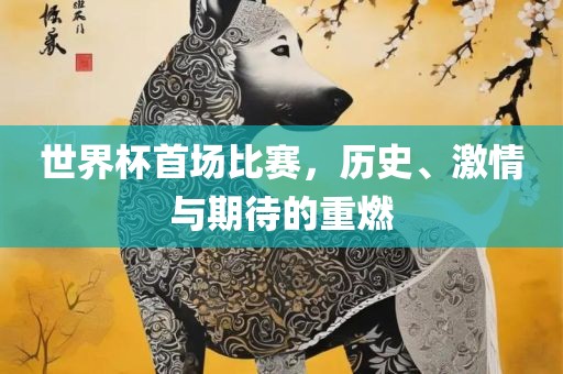 世界杯首场比赛，历史、激情与期待的重燃
