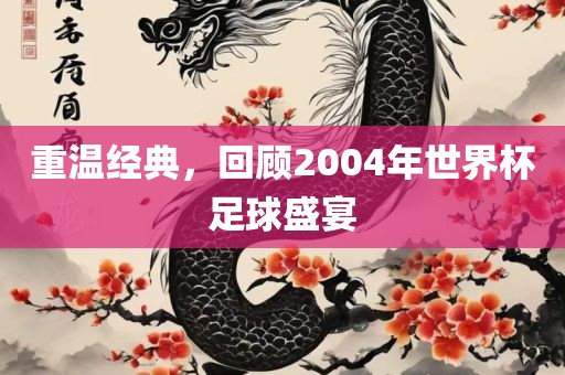 重温经典，回顾2004年世界杯足吉安市靖泰电力工程有限公司球盛宴