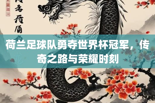 荷兰足球队勇夺世界杯冠军，传奇之路与荣耀时刻