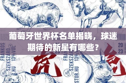 葡萄牙世界杯名单揭晓，球迷期待的新星有哪些？
