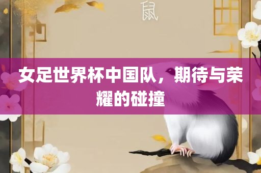 女足世界杯中国队，期待与荣耀的碰撞