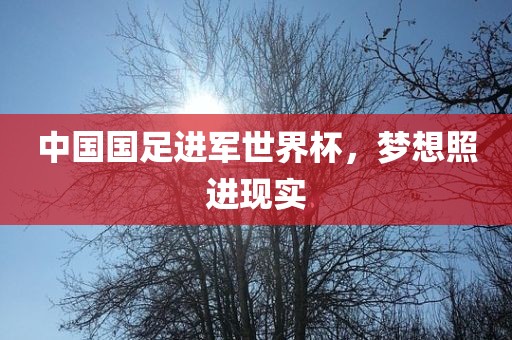 中国国足进军世界杯，梦想照进现实