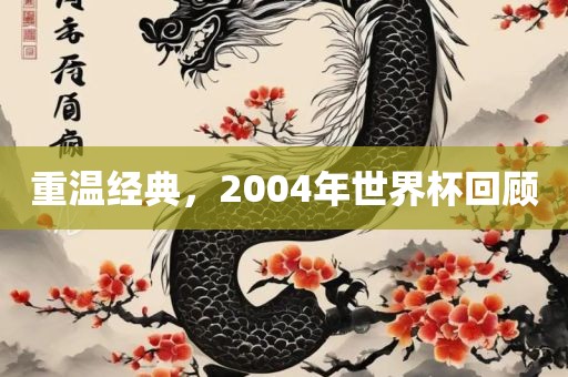 重温经典，2004年世界杯回顾