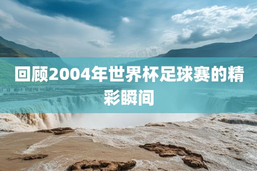 回顾2004年世界杯足球赛的精彩瞬间吉安市靖泰电力工程有限公司