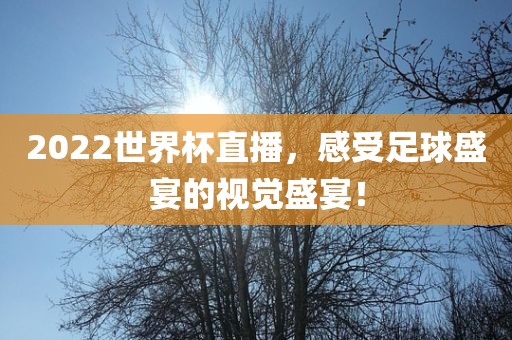 2022世界杯直播，感受足球盛宴的视觉盛宴！吉安市靖泰电力工程有限公司