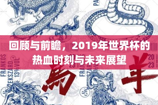 回顾与前瞻，2019年世界杯的热血时刻与吉安市靖泰电力工程有限公司未来展望
