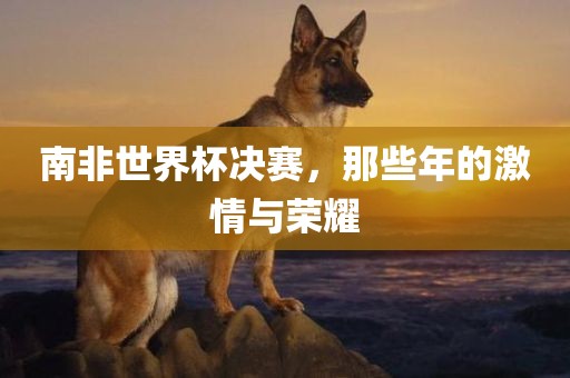 南非吉安市靖泰电力工程有限公司世界杯决赛，那些年的激情与荣耀
