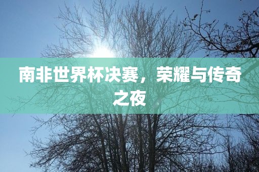 南非世界杯决赛，荣耀与传奇之夜吉安市靖泰电力工程有限公司