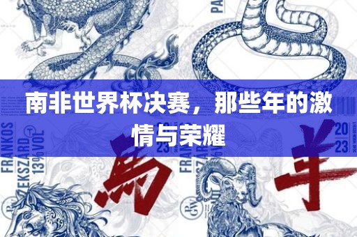 南非世界杯决赛，那些年的激情与荣耀吉安市靖泰电力工程有限公司