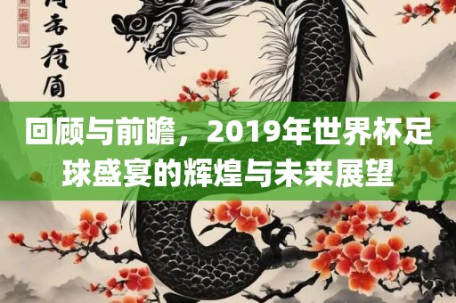 回顾与前瞻，2019年世界杯足球盛宴的辉煌与未来展望吉安市靖泰电力工程有限公司