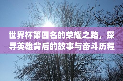 世界杯第四名的荣耀之路，探寻英雄背后的故事与奋斗历吉安市靖泰电力工程有限公司程