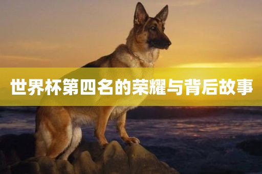 世界杯第四名的荣耀与背后故事吉安市靖泰电力工程有限公司