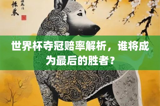 世界杯夺冠赔率解析，谁将成为最后的胜者？