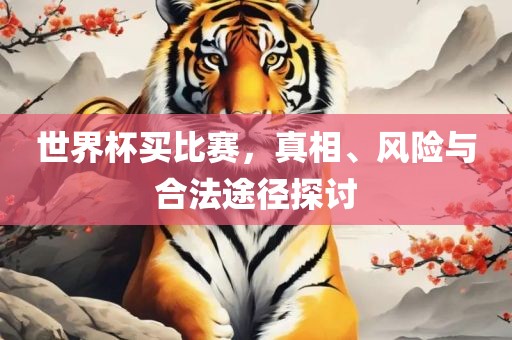 世界杯买比赛，真相、风险与合法途径探讨吉安市靖泰电力工程有限公司