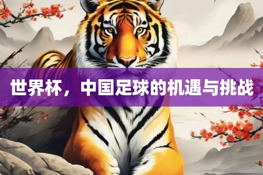 世界杯，中国足球的机遇与挑战吉安市靖泰电力工程有限公司