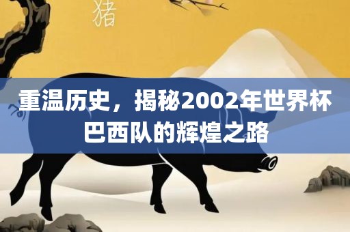 重温历史，揭秘2002年世界杯巴西队的辉煌之路吉安市靖泰电力工程有限公司