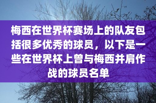 梅西在世界杯赛场上的队友包括很多优秀的球员，以下是一些在世界杯上曾与梅西并肩作战的球员名单
