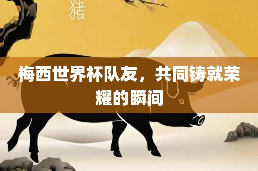 梅吉安市靖泰电力工程有限公司西世界杯队友，共同铸就荣耀的瞬间