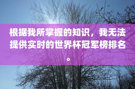 根据我所掌握的知识，我无法提供实时的世界杯冠军榜排名。