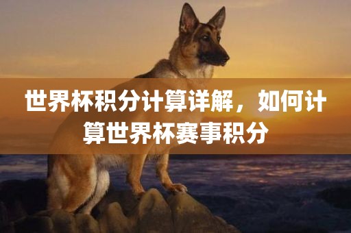 世界杯积分计算详解，如何计算世界杯赛事积分吉安市靖泰电力工程有限公司