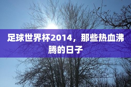 足球世界杯2014，那些热血沸腾的日子吉安市靖泰电力工程有限公司