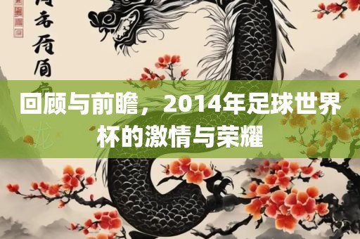 回顾与前瞻，2014年足球世界杯的激情与荣耀吉安市靖泰电力工程有限公司