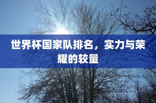世界杯国家队排名，实力与荣耀的较量吉安市靖泰电力工程有限公司